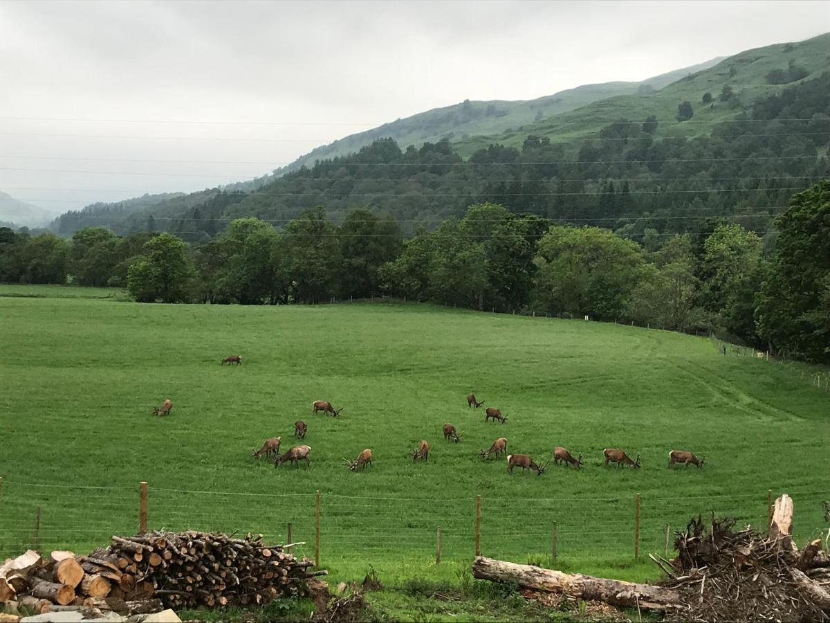 Lochay Lodges Killin Dış mekan fotoğraf